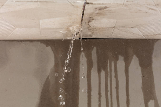 Professional Structural Drying technician working in Gainesville, TX